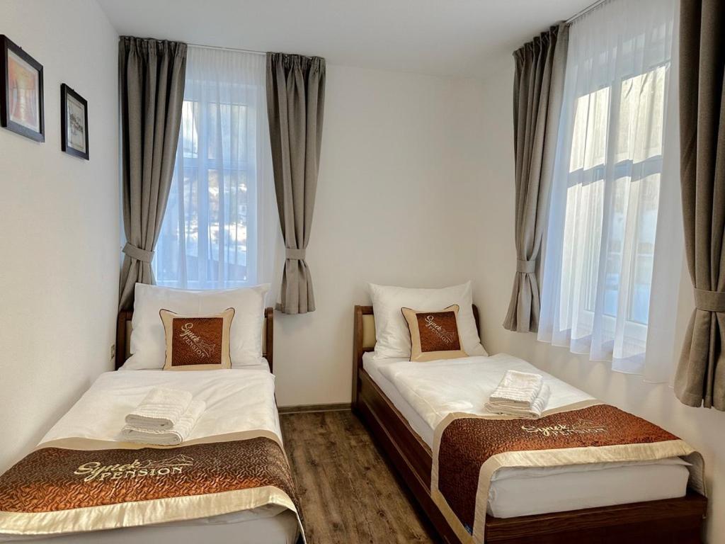 Synek Pension Spindleruv Mlyn Bagian luar foto