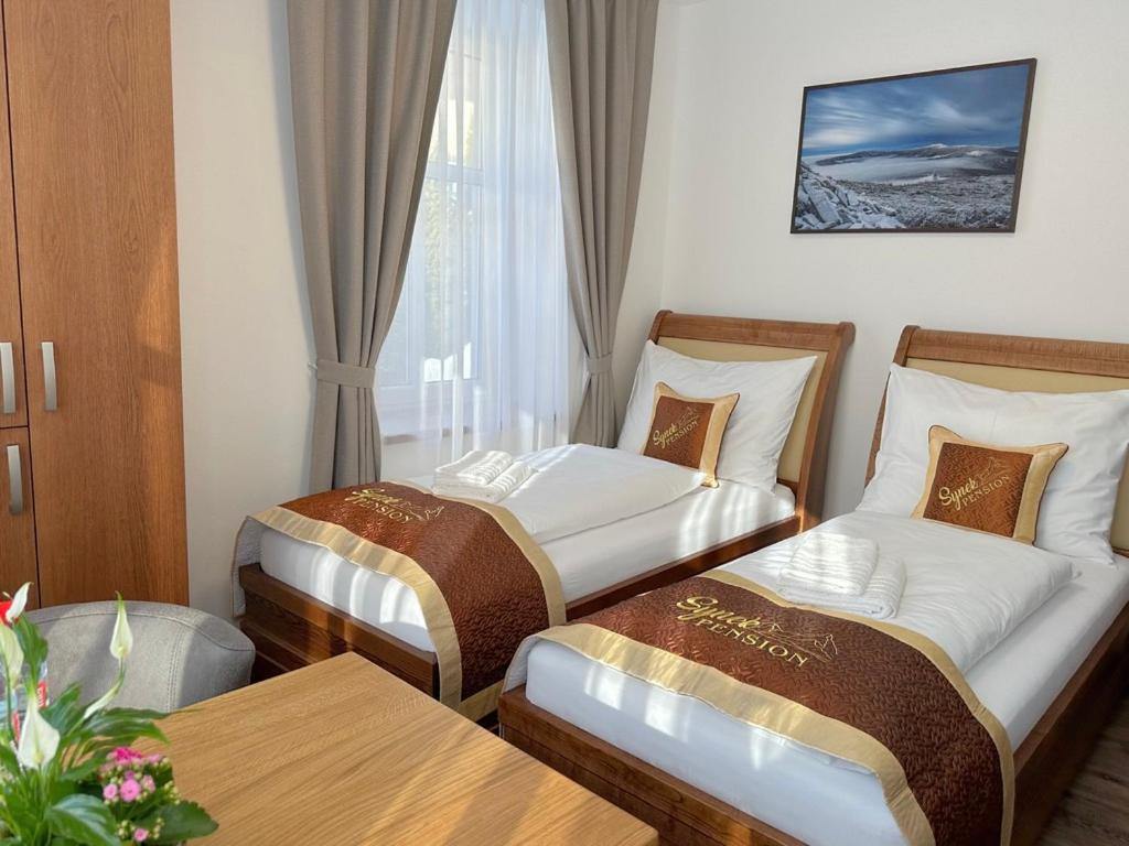 Synek Pension Spindleruv Mlyn Bagian luar foto